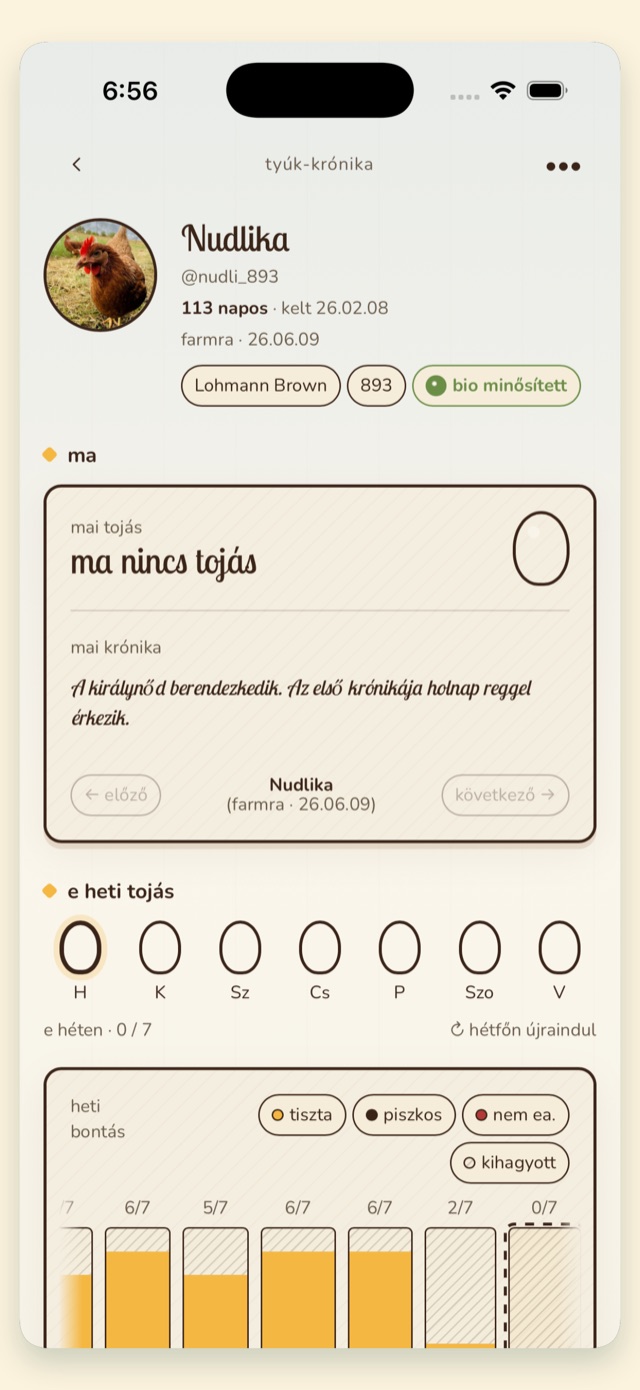A tervezett tyúk-krónika képernyő az appban, Nudlika bejegyzésével